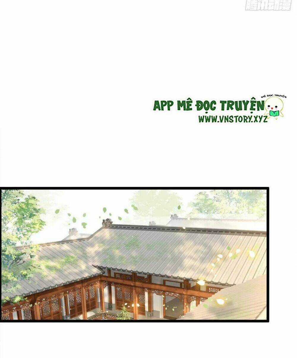 Phượng Hoàng Vu Phi - Chapter 111 - Trang 3