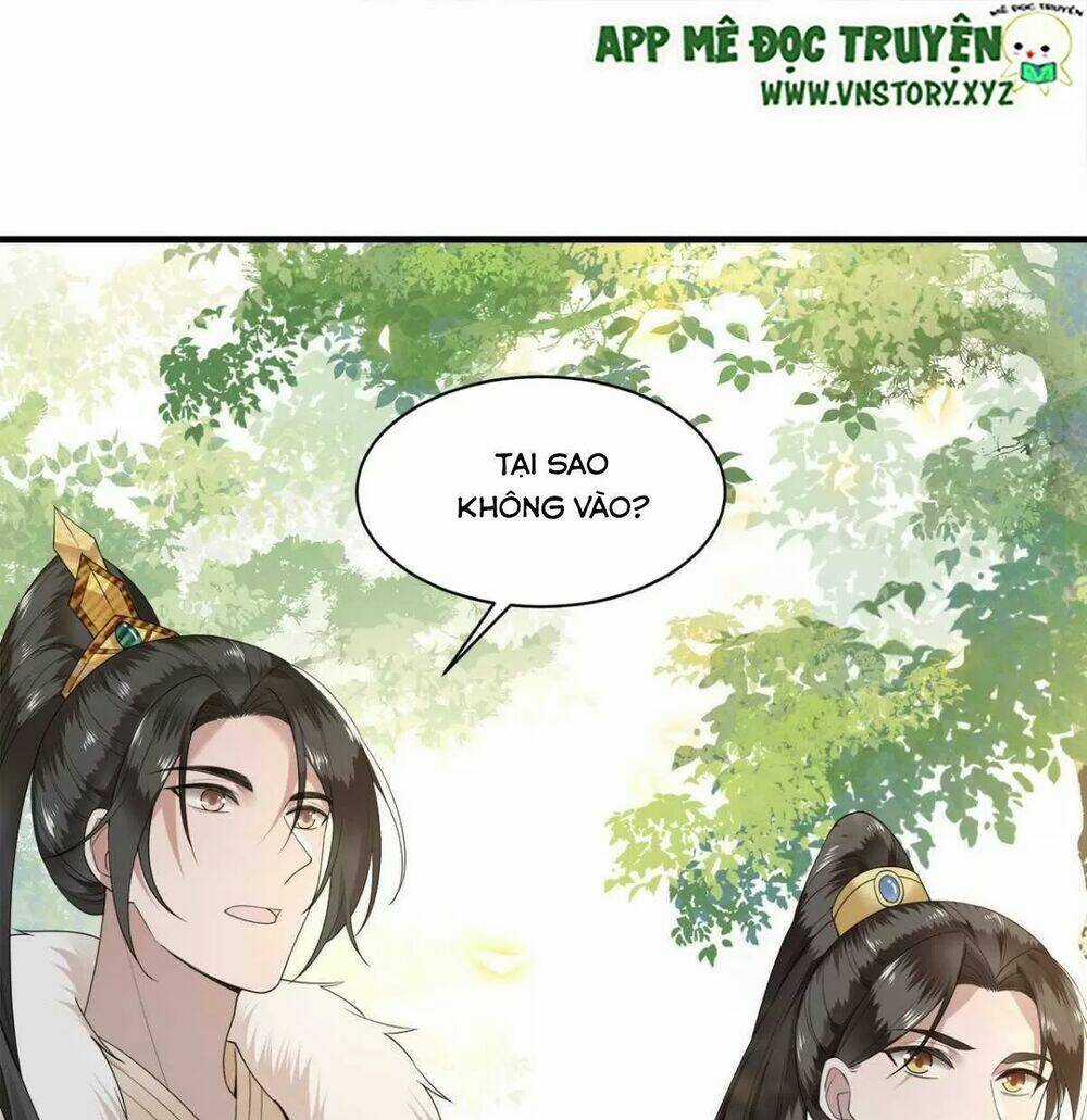 Phượng Hoàng Vu Phi - Chapter 112 - Trang 4