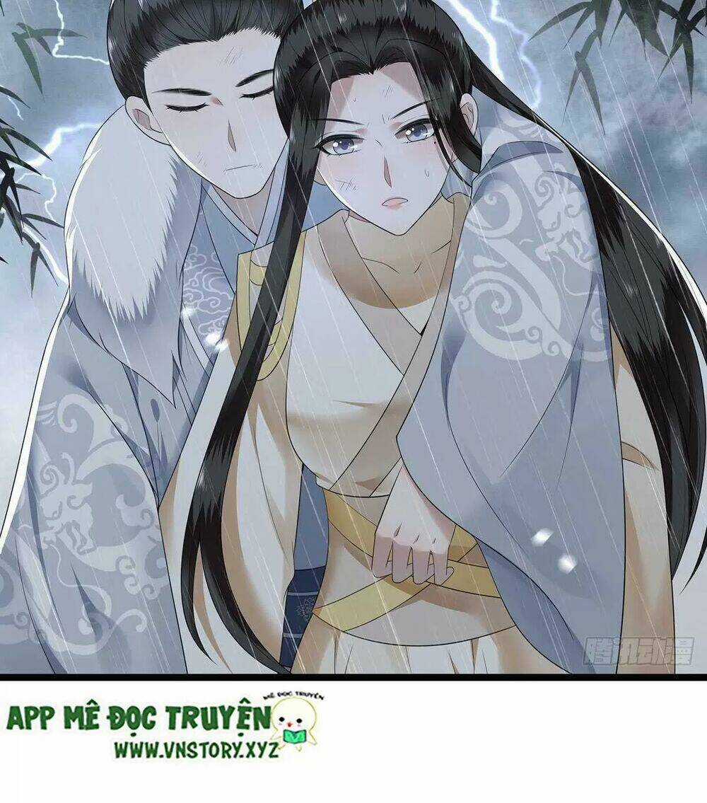 Phượng Hoàng Vu Phi - Chapter 121 - Trang 4