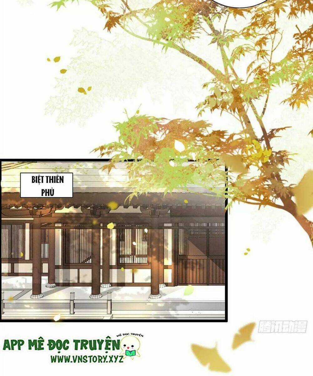 Phượng Hoàng Vu Phi - Chapter 124 - Trang 16