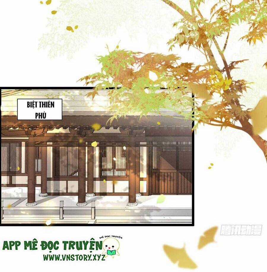 Phượng Hoàng Vu Phi - Chapter 125 - Trang 12