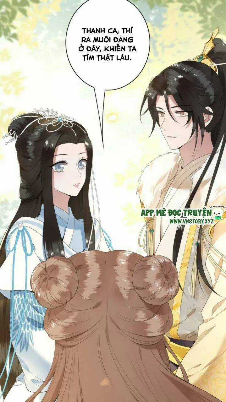 Phượng Hoàng Vu Phi - Chapter 81 - Trang 18