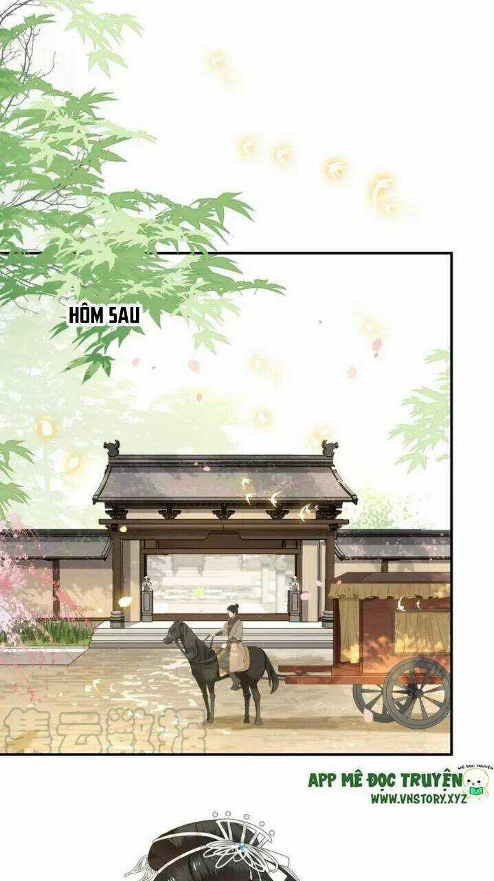 Phượng Hoàng Vu Phi - Chapter 81 - Trang 28