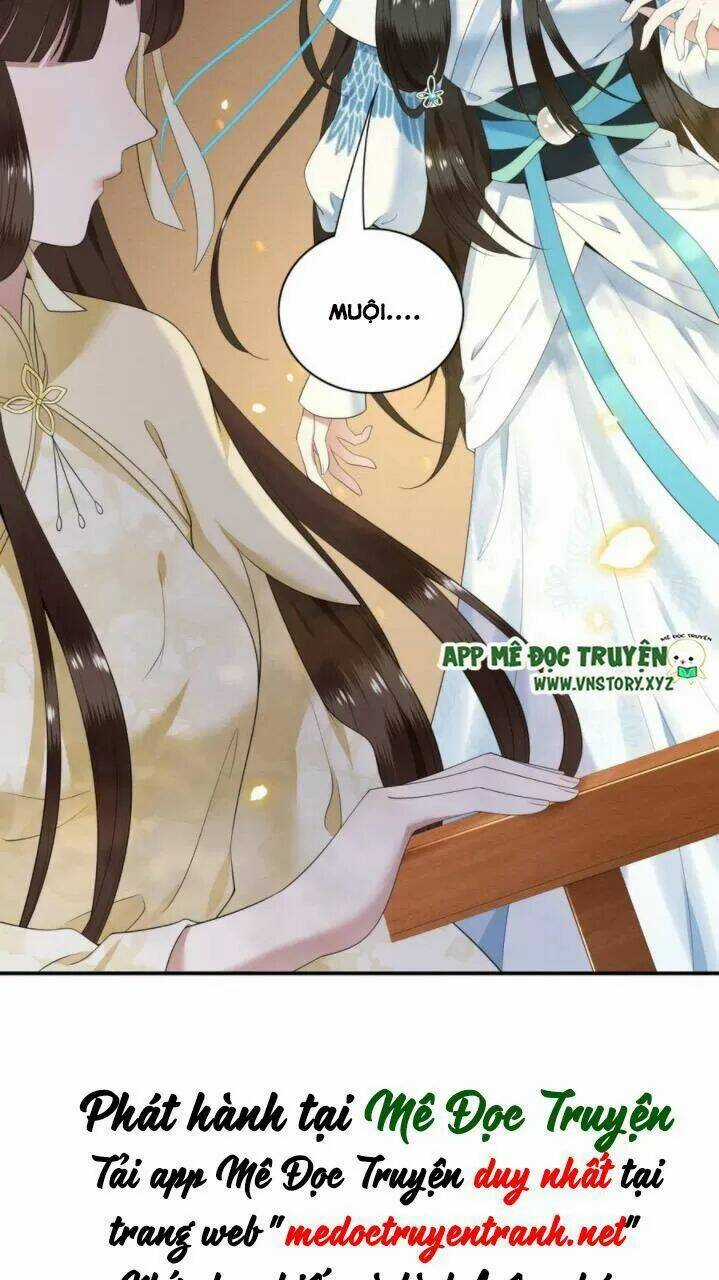 Phượng Hoàng Vu Phi - Chapter 81 - Trang 32