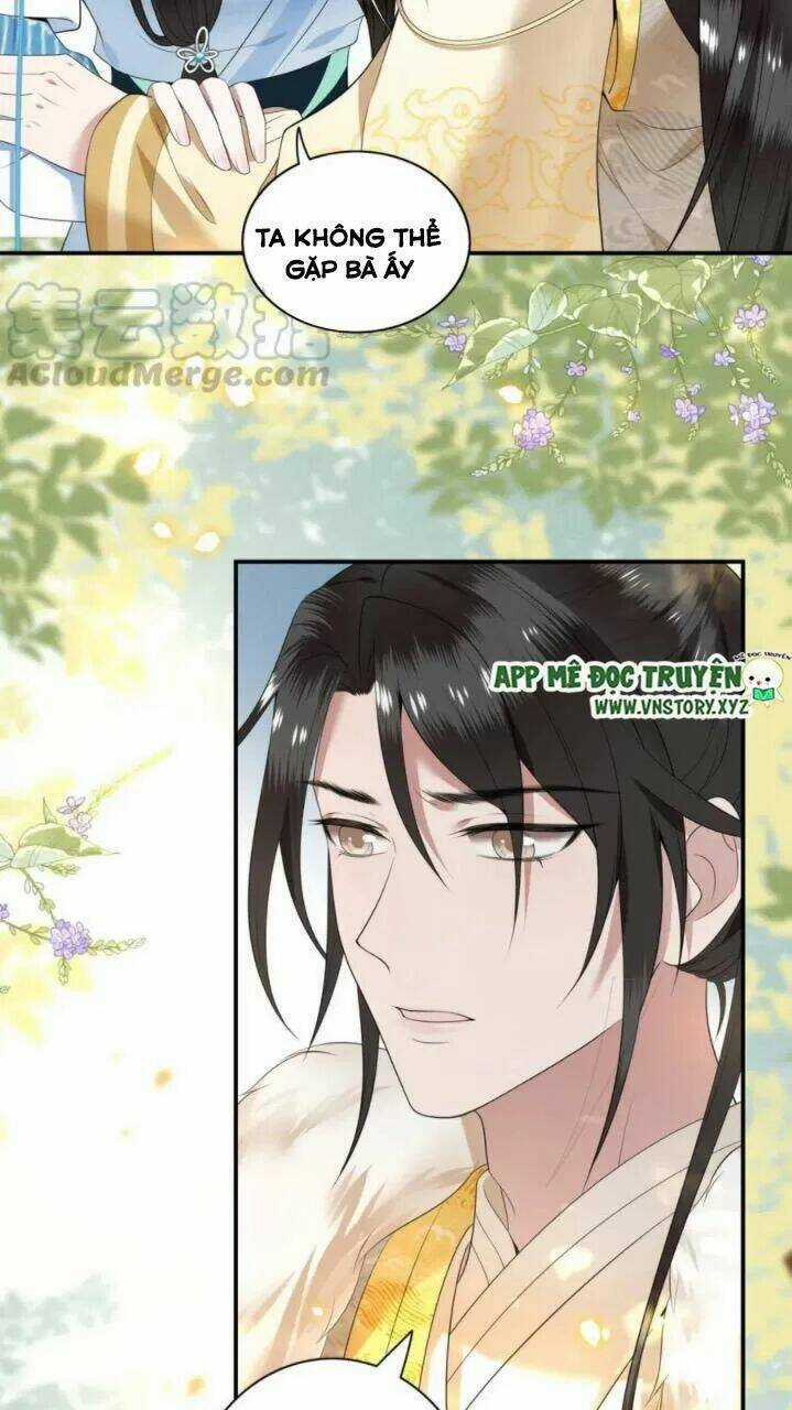 Phượng Hoàng Vu Phi - Chapter 81 - Trang 5