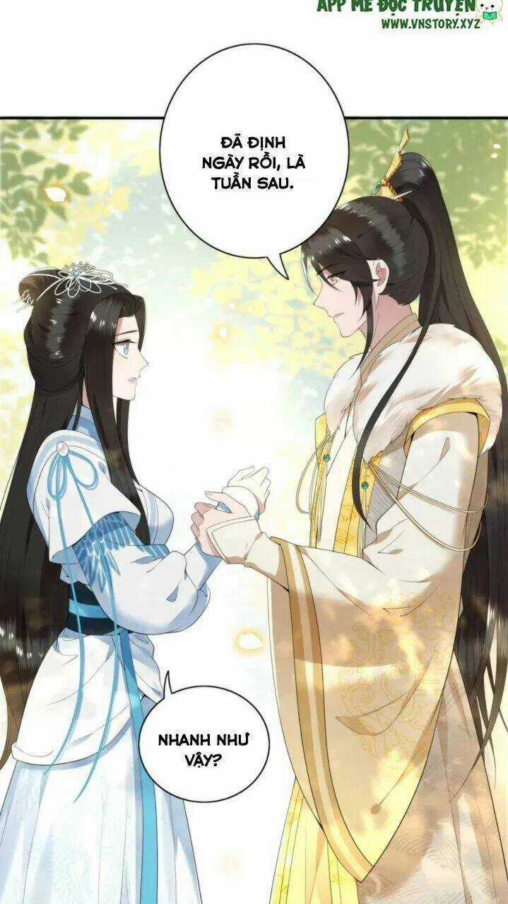 Phượng Hoàng Vu Phi - Chapter 81 - Trang 9