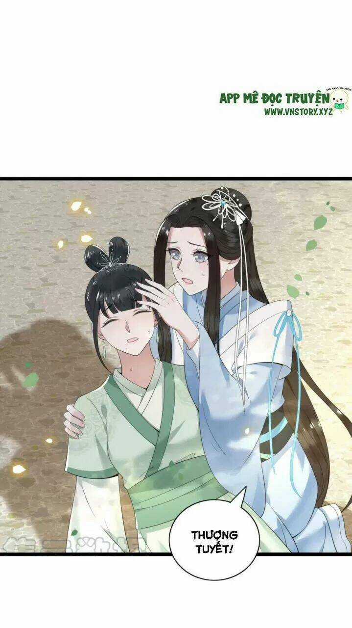 Phượng Hoàng Vu Phi - Chapter 87 - Trang 15