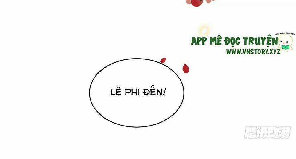 Phượng Hoàng Vu Phi - Chapter 89 - Trang 50