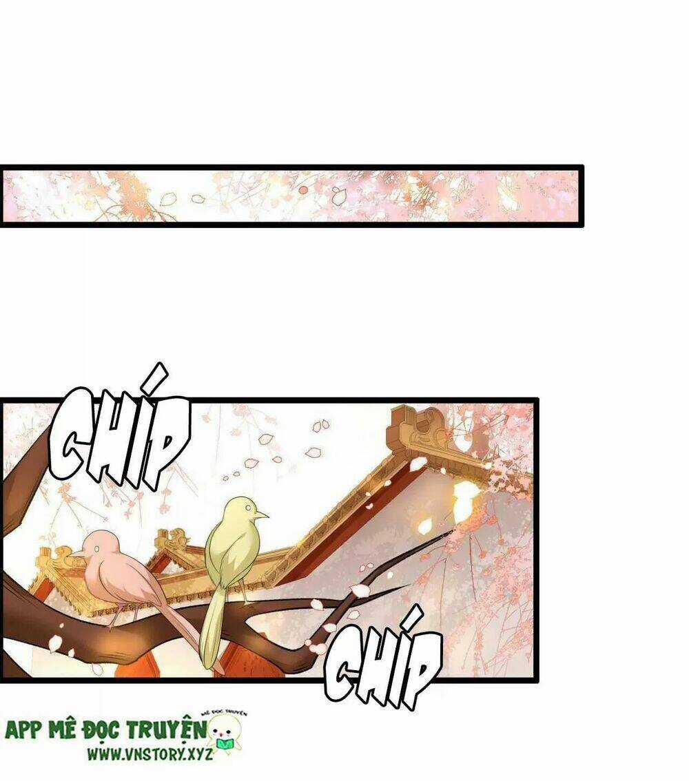 Phượng Hoàng Vu Phi - Chapter 96 - Trang 19