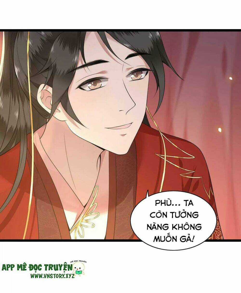 Phượng Hoàng Vu Phi - Chapter 96 - Trang 4