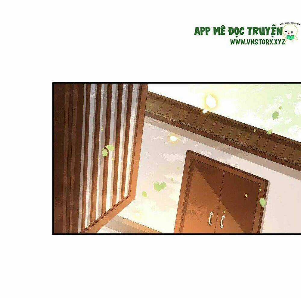 Phượng Hoàng Vu Phi - Chapter 99 - Trang 11
