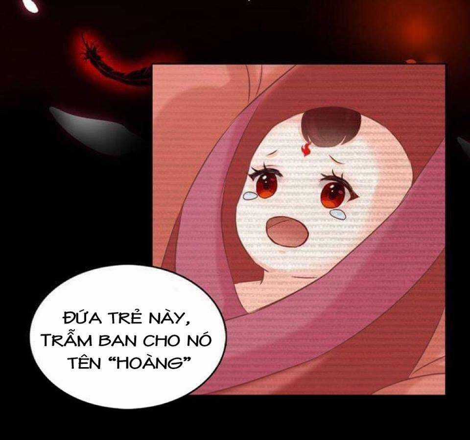 Phượng Hoàng - Chapter 0 - Trang 19