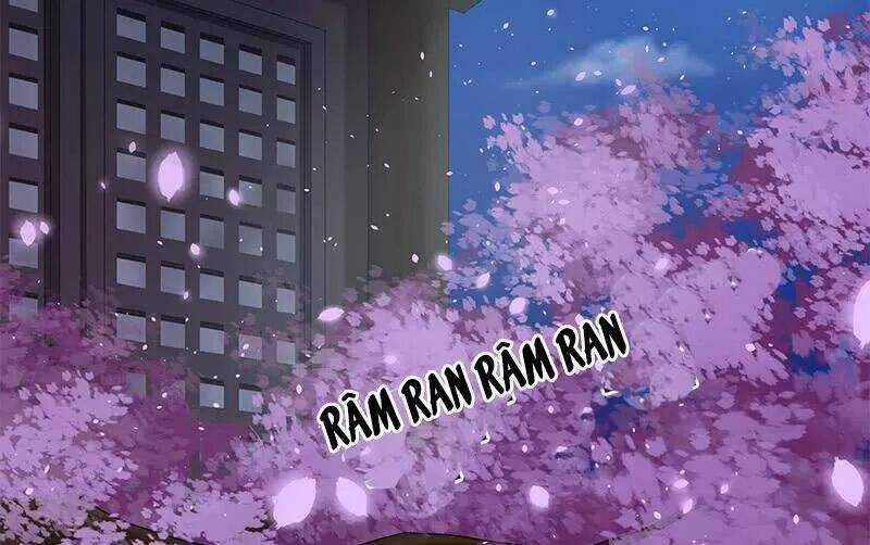 Phượng Hoàng - Chapter 8 - Trang 27