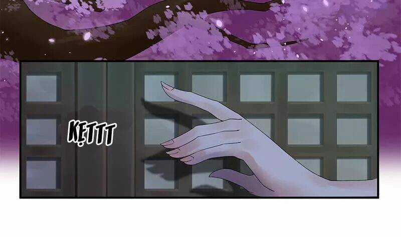 Phượng Hoàng - Chapter 8 - Trang 28