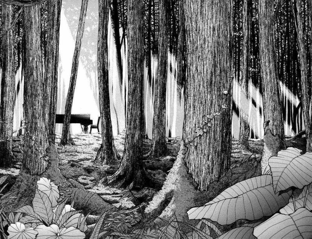Piano No Mori - Chapter 2 - Trang 22