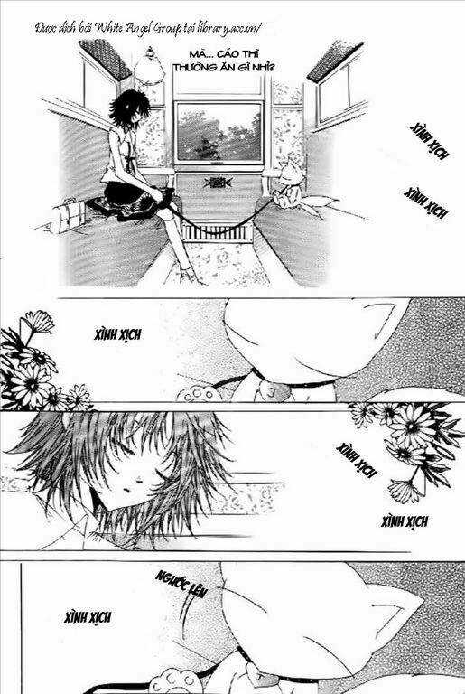 Platina - Chapter 1 - Trang 21