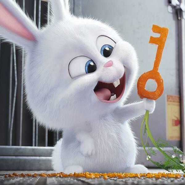 Pochi Kuro - Chapter 16 - Trang 18