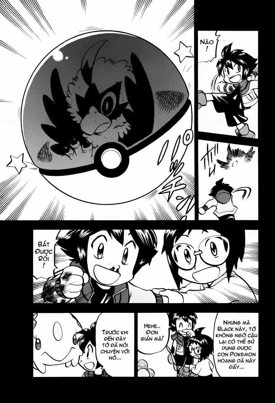 Pokemon Special - Chapter 503 - Trang 18
