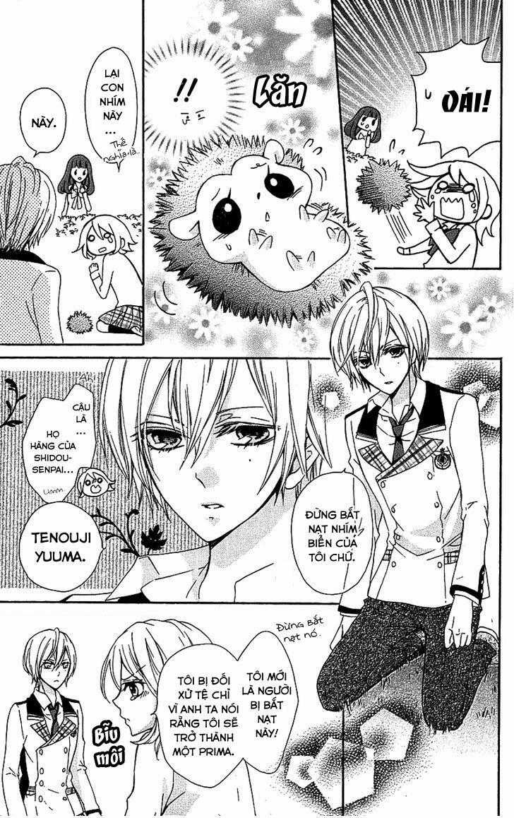 Primo Prima! - Chapter 3 - Trang 10