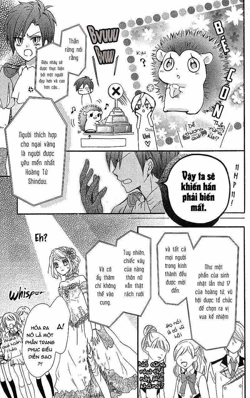 Primo Prima! - Chapter 7 - Trang 14