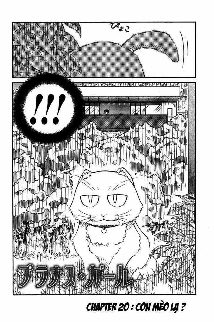 Prunus Girl - Chapter 20 - Trang 3