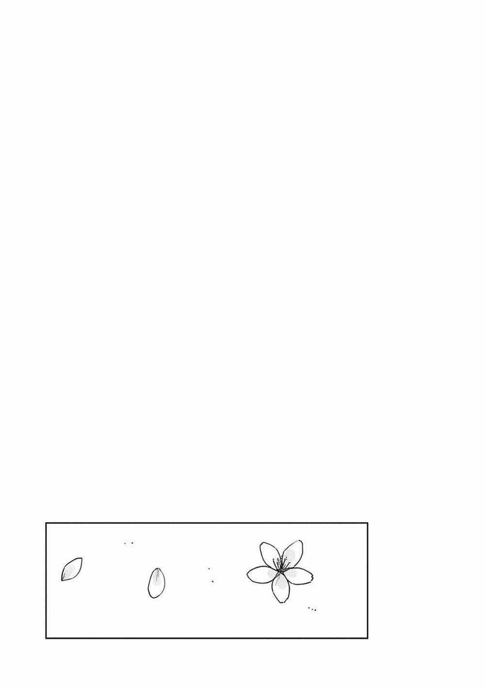 Pseudo Harem - Chapter 130 - Trang 6