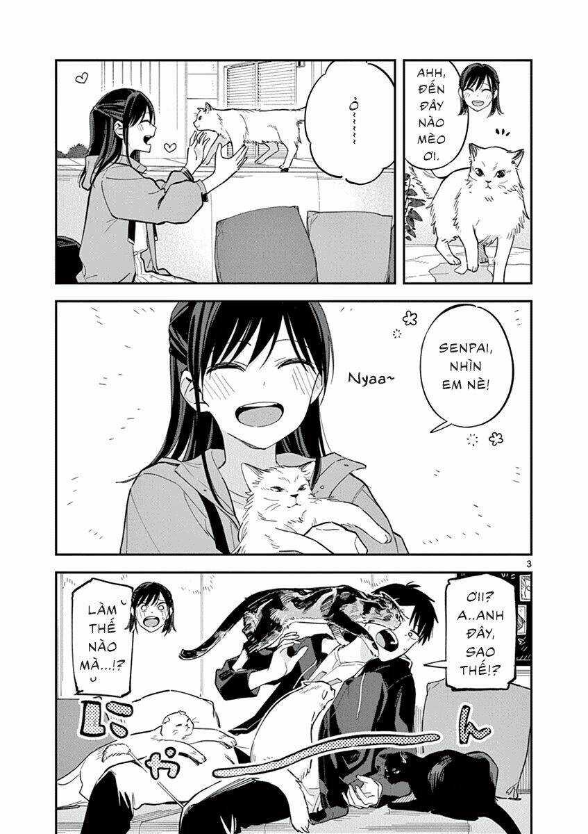 Pseudo Harem - Chapter 88.1 - Trang 4