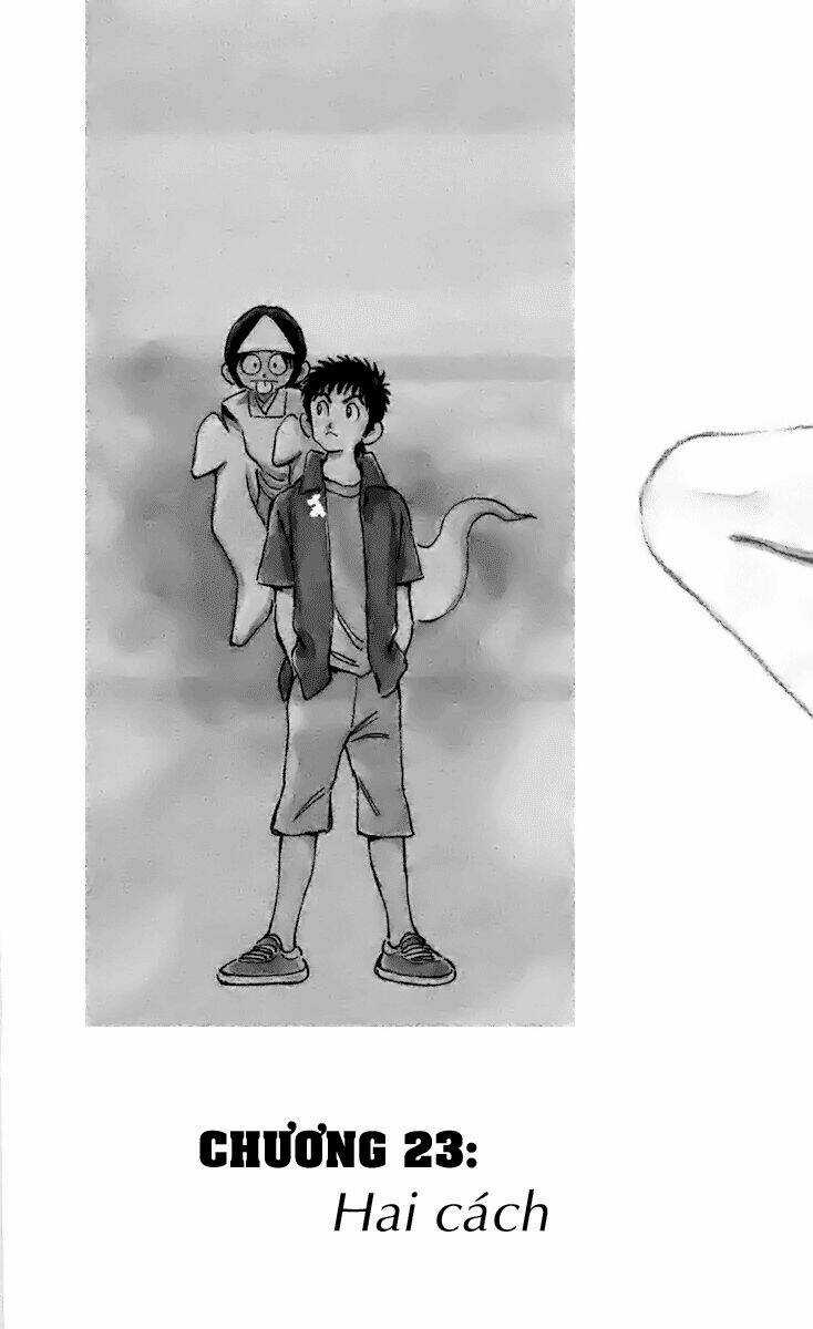 Q&A - Chapter 23 - Trang 4