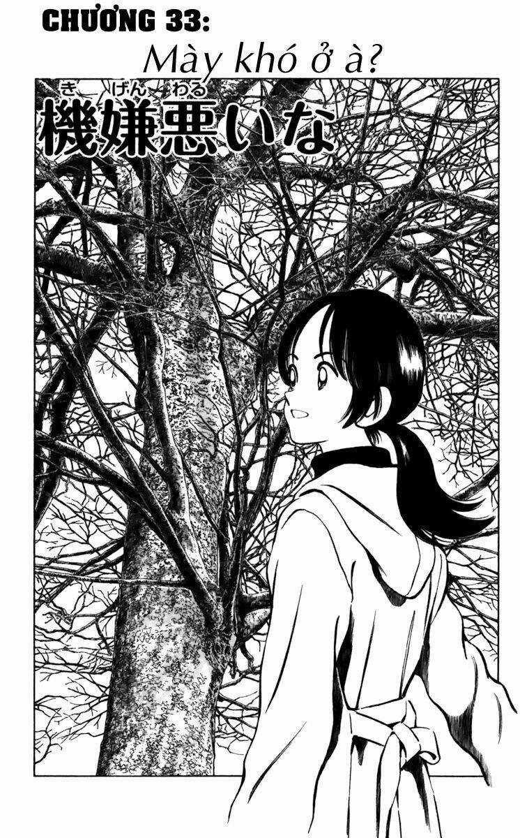 Q&A - Chapter 33 - Trang 2