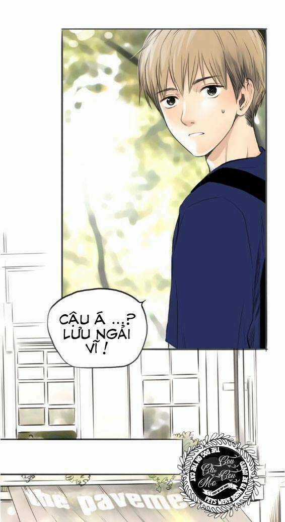 Quả Bóng Màu Vàng - Chapter 8 - Trang 21