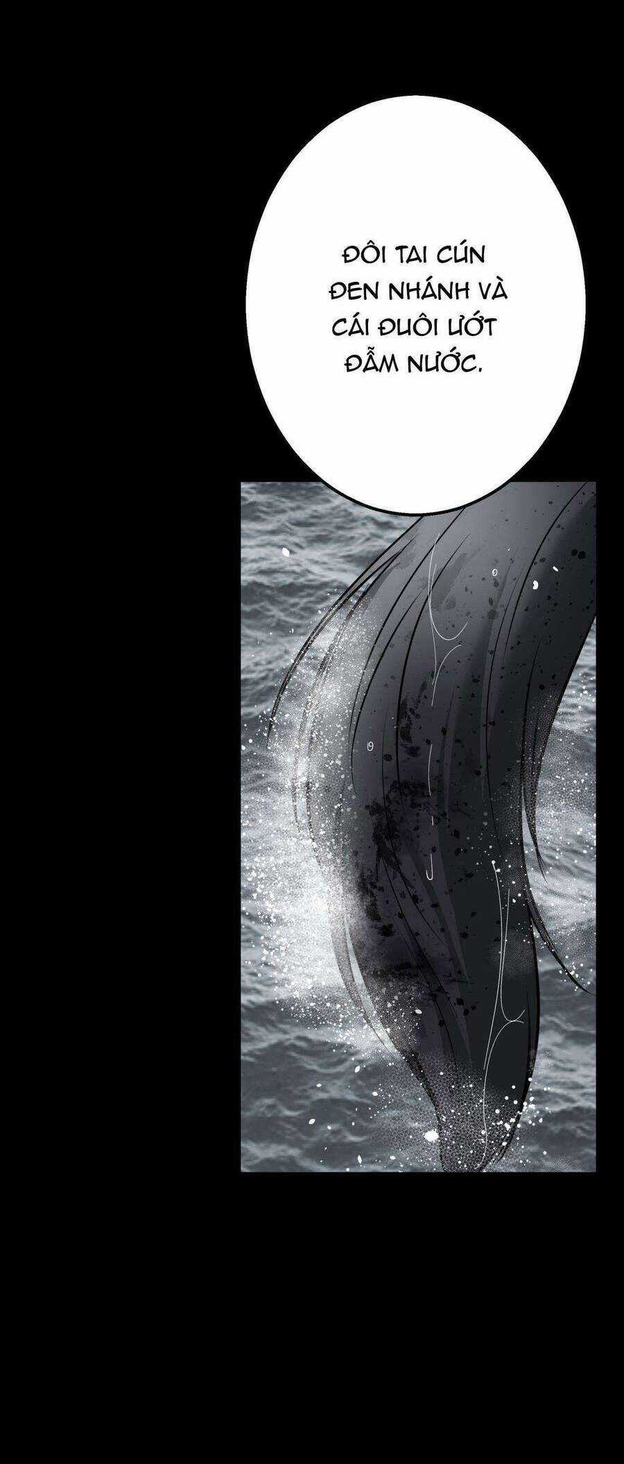 Quái Thú - Chapter 28 - Trang 41