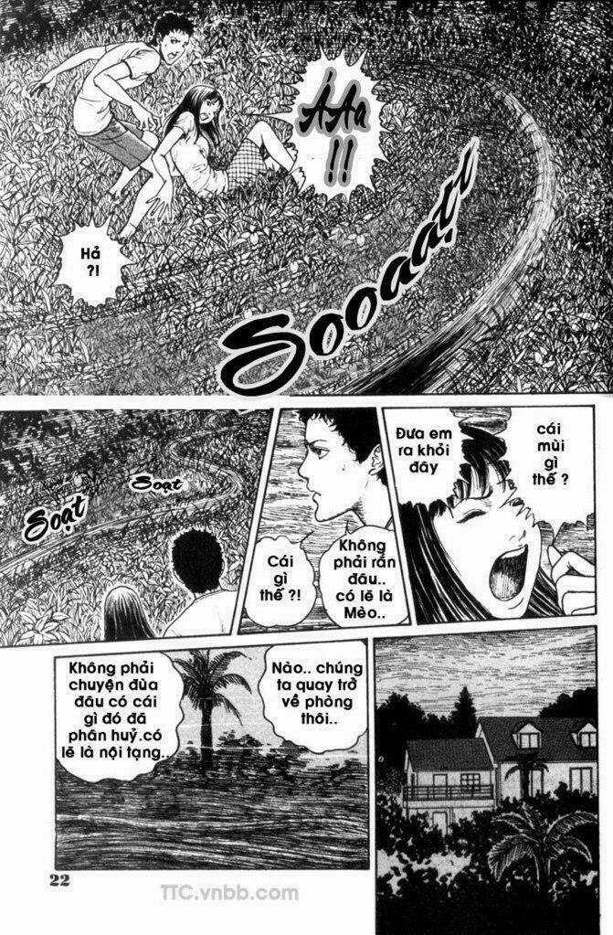 Quái vật biển - Chapter 1 - Trang 18