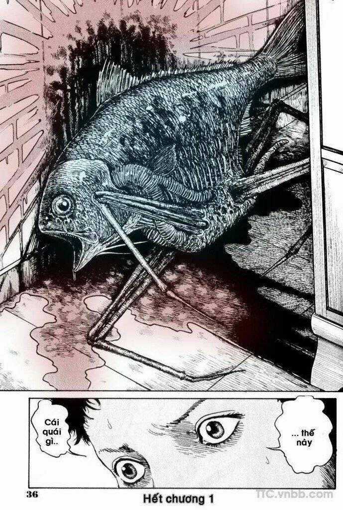 Quái vật biển - Chapter 1 - Trang 32