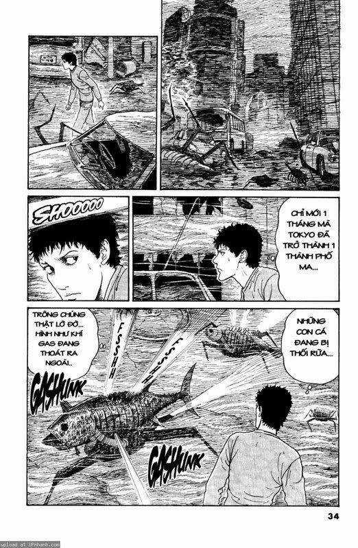 Quái vật biển - Chapter 12 - Trang 12