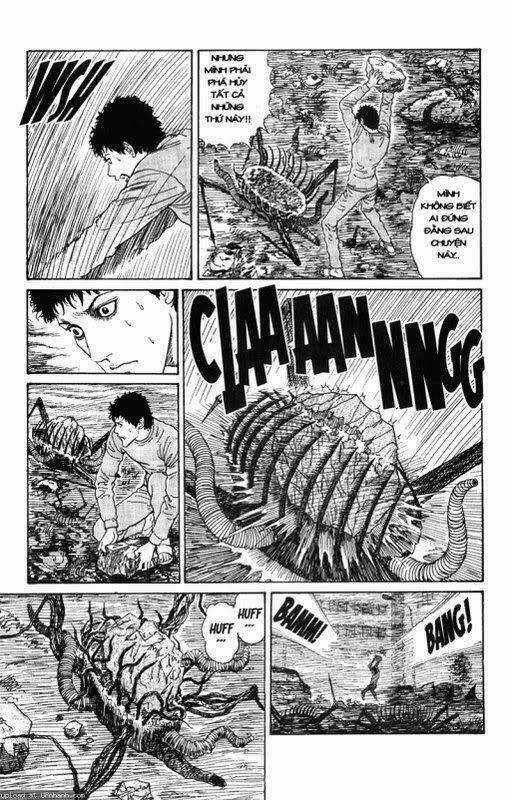 Quái vật biển - Chapter 13 - Trang 11