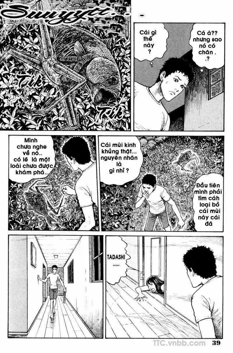 Quái vật biển - Chapter 2 - Trang 3