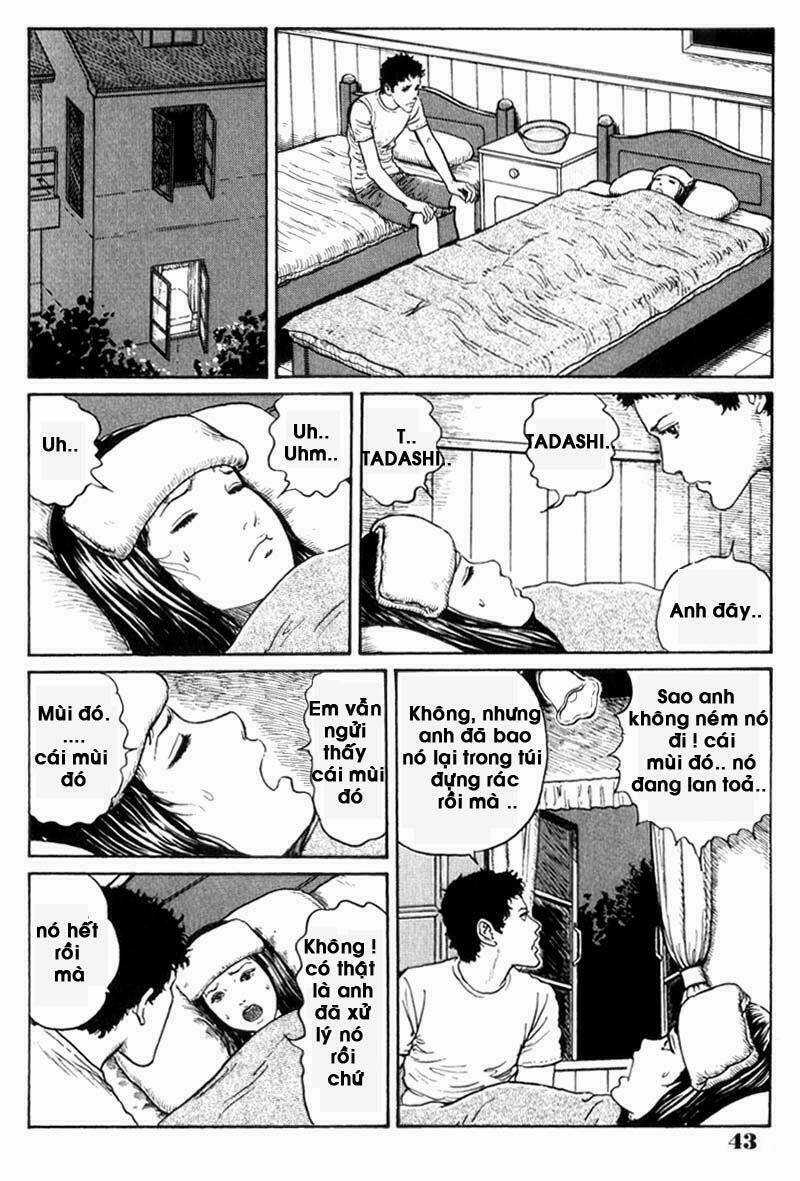 Quái vật biển - Chapter 2 - Trang 7