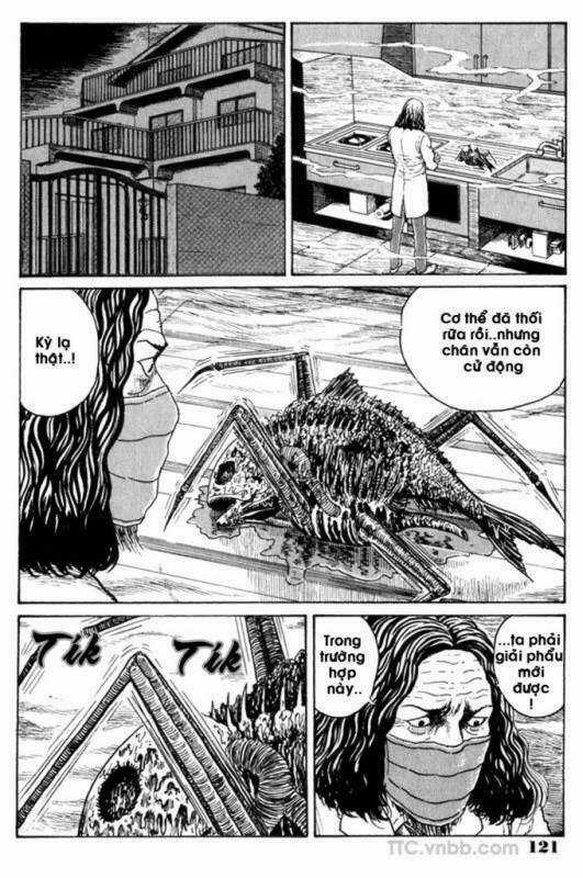 Quái vật biển - Chapter 6 - Trang 14