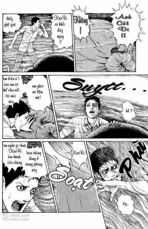 Quái vật biển - Chapter 8 - Trang 13