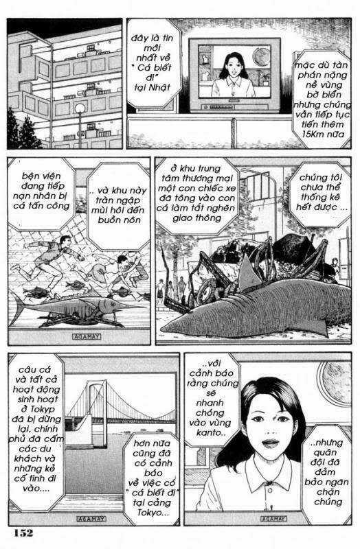 Quái vật biển - Chapter 8 - Trang 8