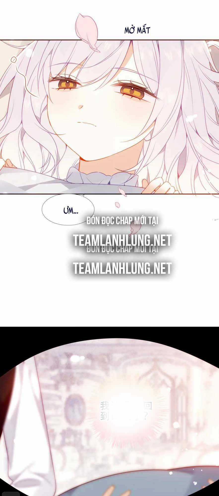 Quán Kịch Bản Trần Mộng - Chapter 42 - Trang 20