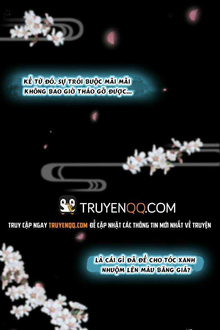 Quân Lệnh Thiên Hạ - Chapter 5 - Trang 15