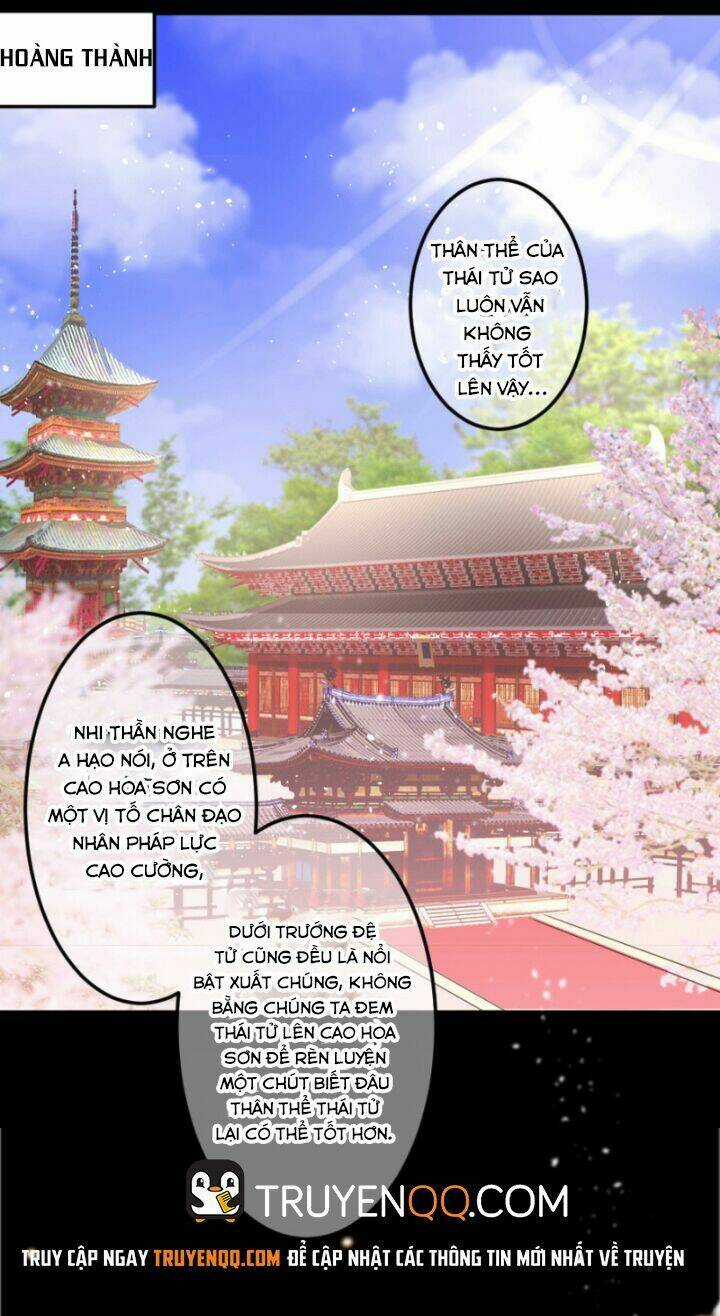 Quân Lệnh Thiên Hạ - Chapter 5 - Trang 3