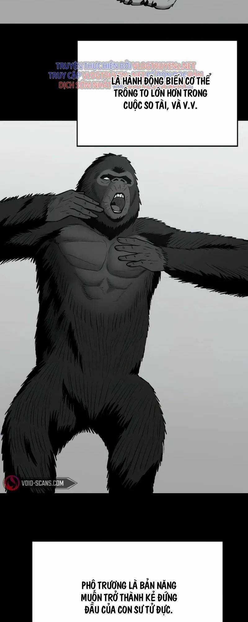 Quản Lí Du Côn - Chapter 49 - Trang 11