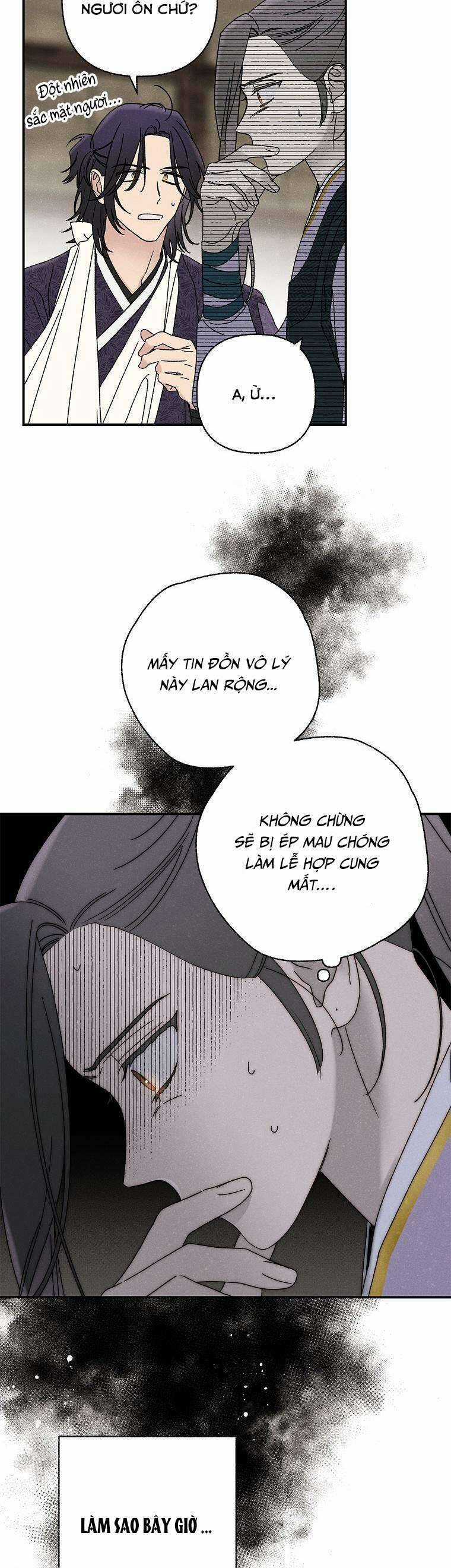 Quốc Hôn - Chapter 27 - Trang 13