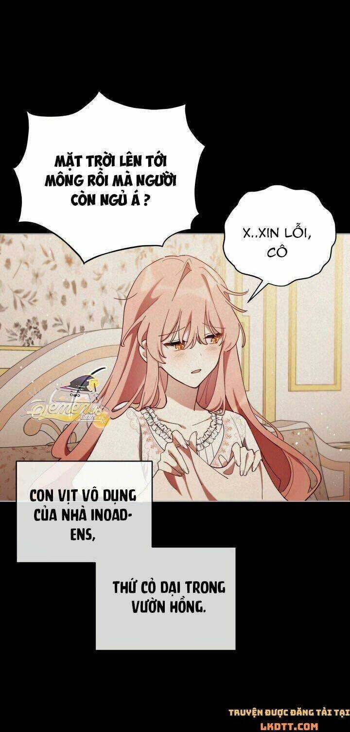 Quý Cô Khó Gần - Chapter 4 - Trang 4