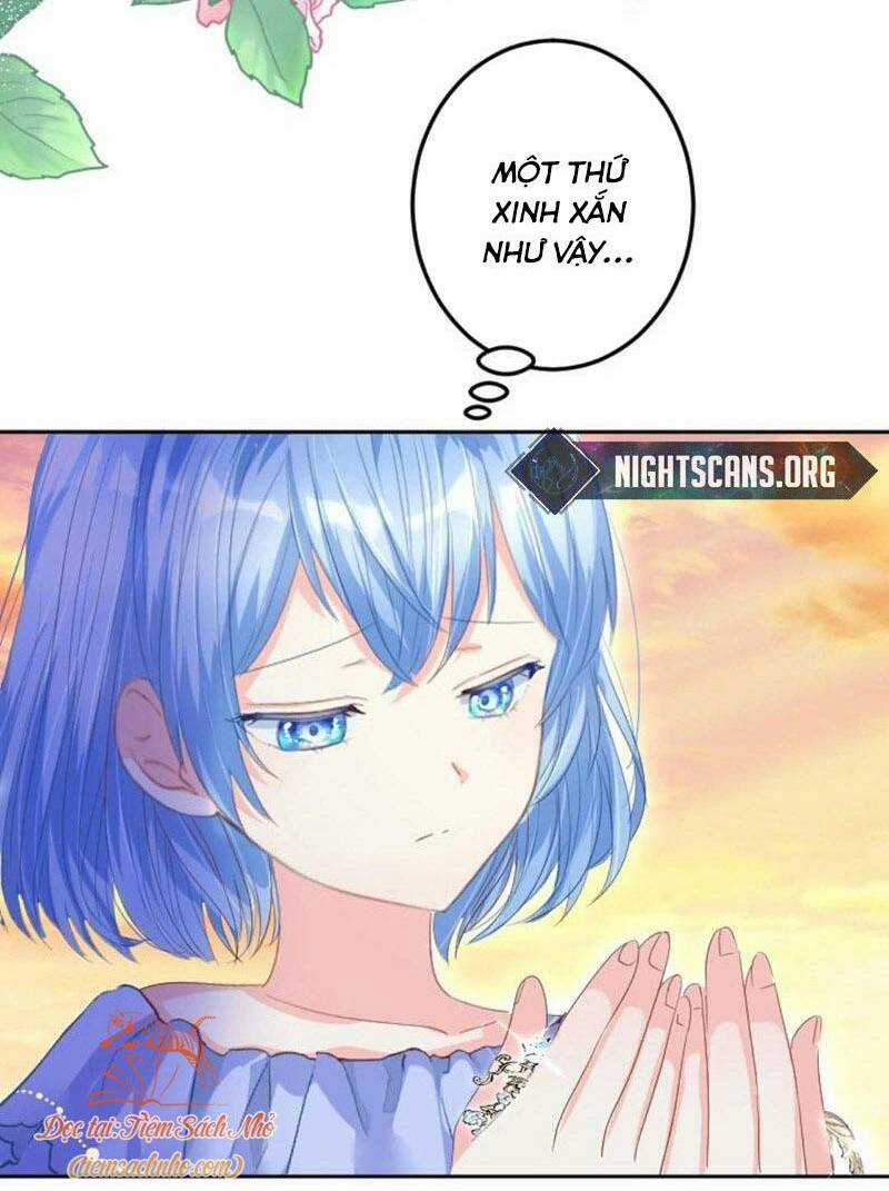 Quý Cô Không Rơi Nước Mắt - Chapter 21 - Trang 25