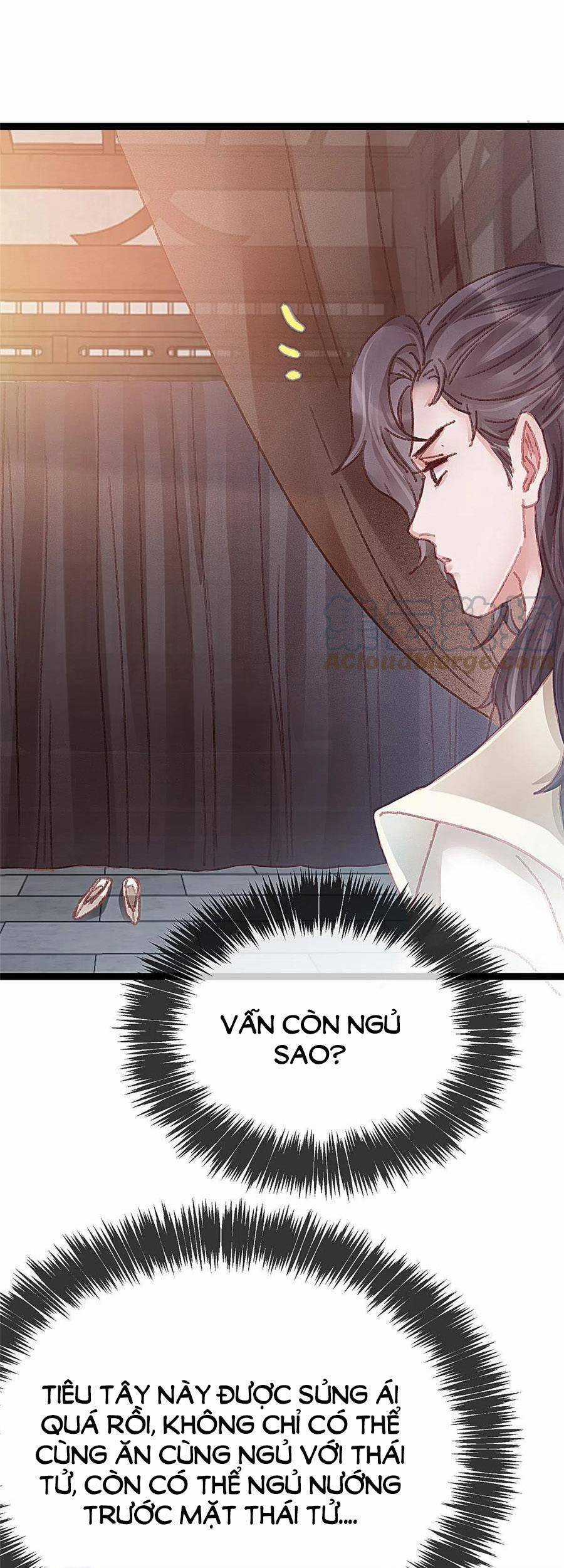 Quý Phi Muốn Trở Thành Con Cá Mặn Mòi - Chapter 52 - Trang 33