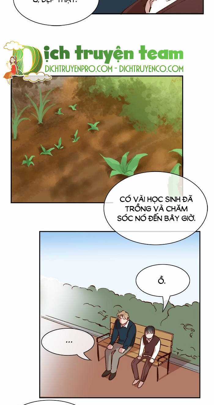 Quỷ Sứ Số 4 - Chapter 70 - Trang 37