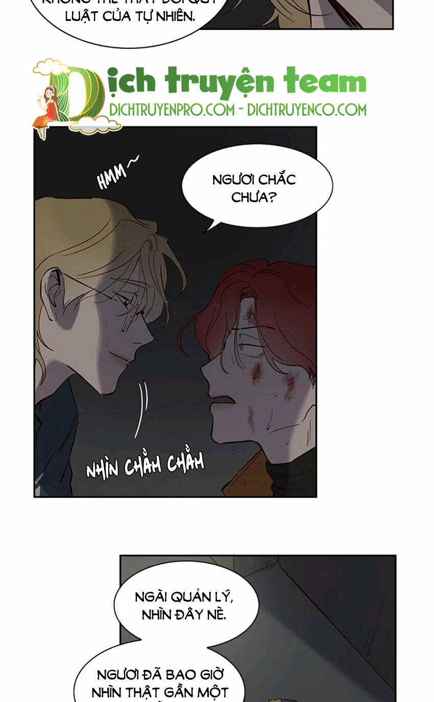 Quỷ Sứ Số 4 - Chapter 74 - Trang 16